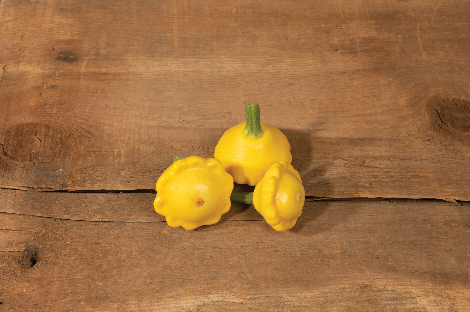 Johnny's Selected Seeds Lemon Sun Patty Pan Squash Seed