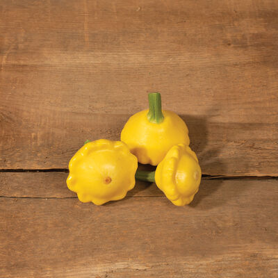 Lemon Sun Summer Squash