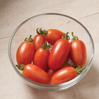 Pink Tiger Specialty Tomatoes