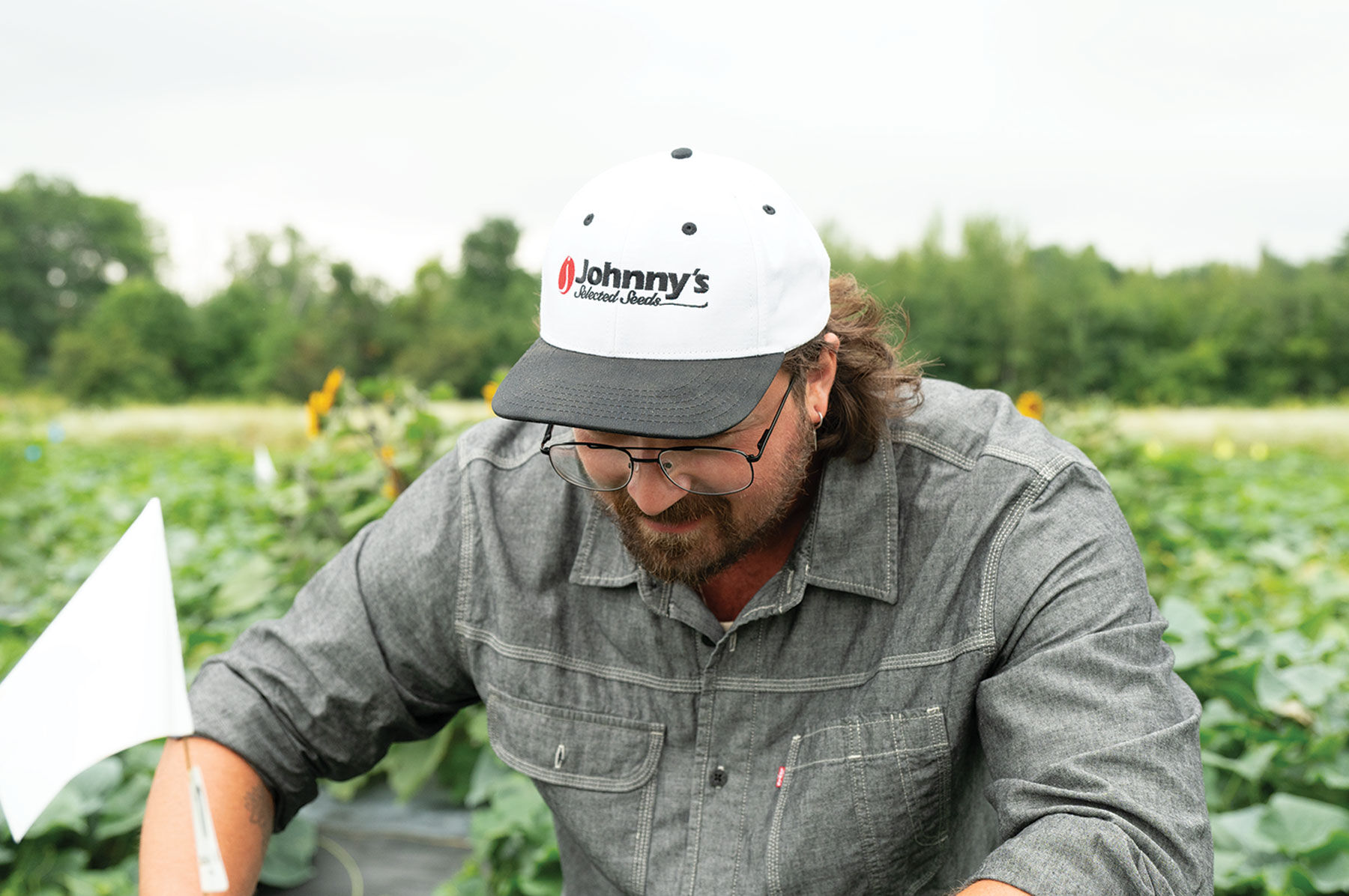 Johnny's Exclusive Seeds | Johnny's Selected Seeds