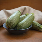 Mexicana Summer Squash