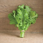 Green Wave Mustard Greens