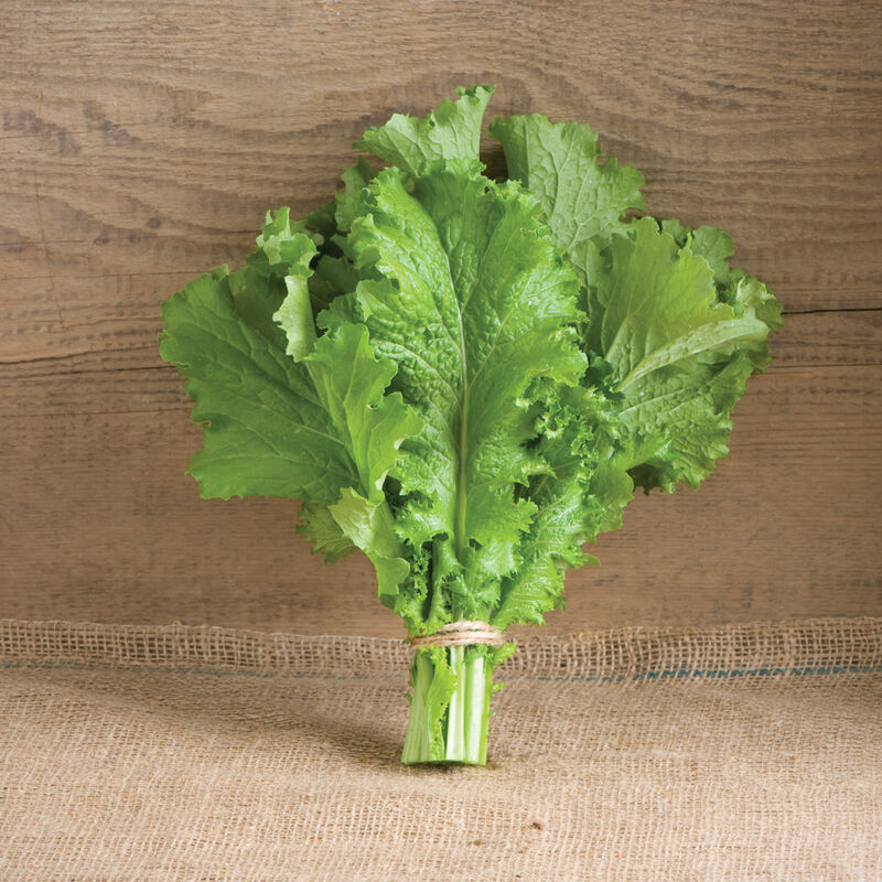 Green Wave Mustard Greens