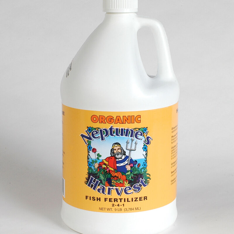 Neptune's Harvest 2-4-1 – 1 Gal. Neptune's Harvest 2-4-1 – 1 Gal. Fertilizers & Amendments