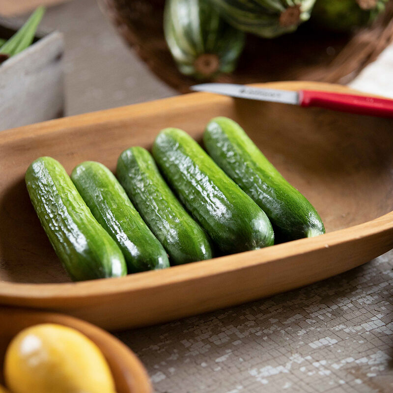 Picolino Slicing Cucumbers