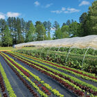 Sunbelt Black Ground Cover – 10' x 300' Sunbelt Black Ground Cover – 10' x 300' Fabric Mulch