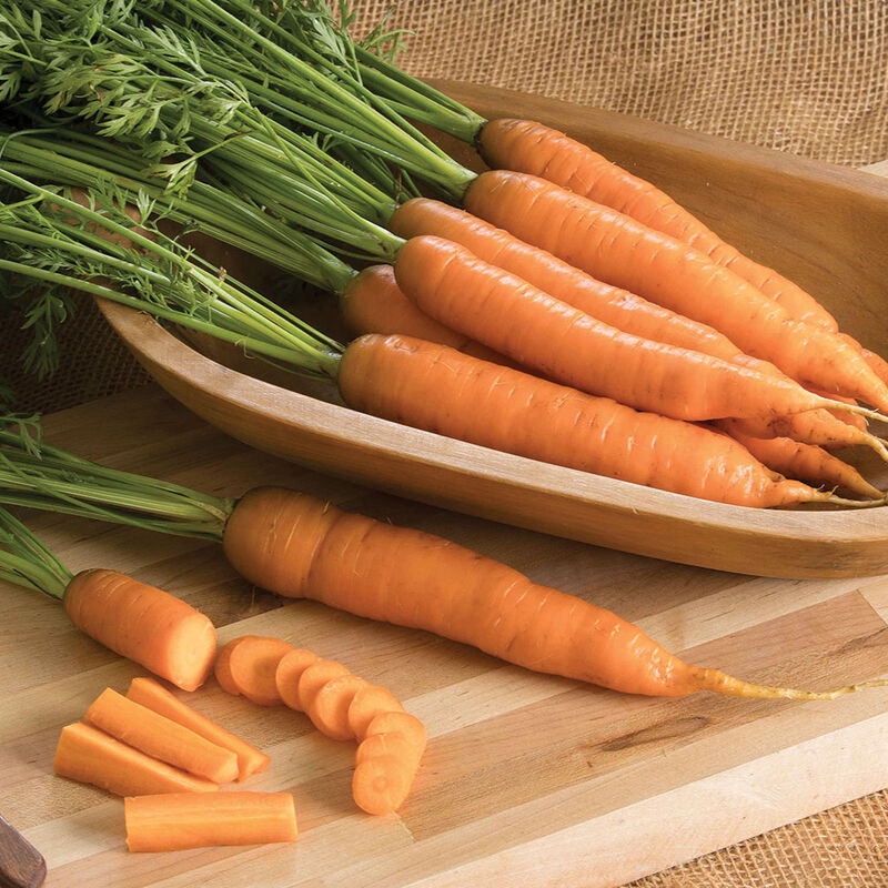 Napoli Early Carrots