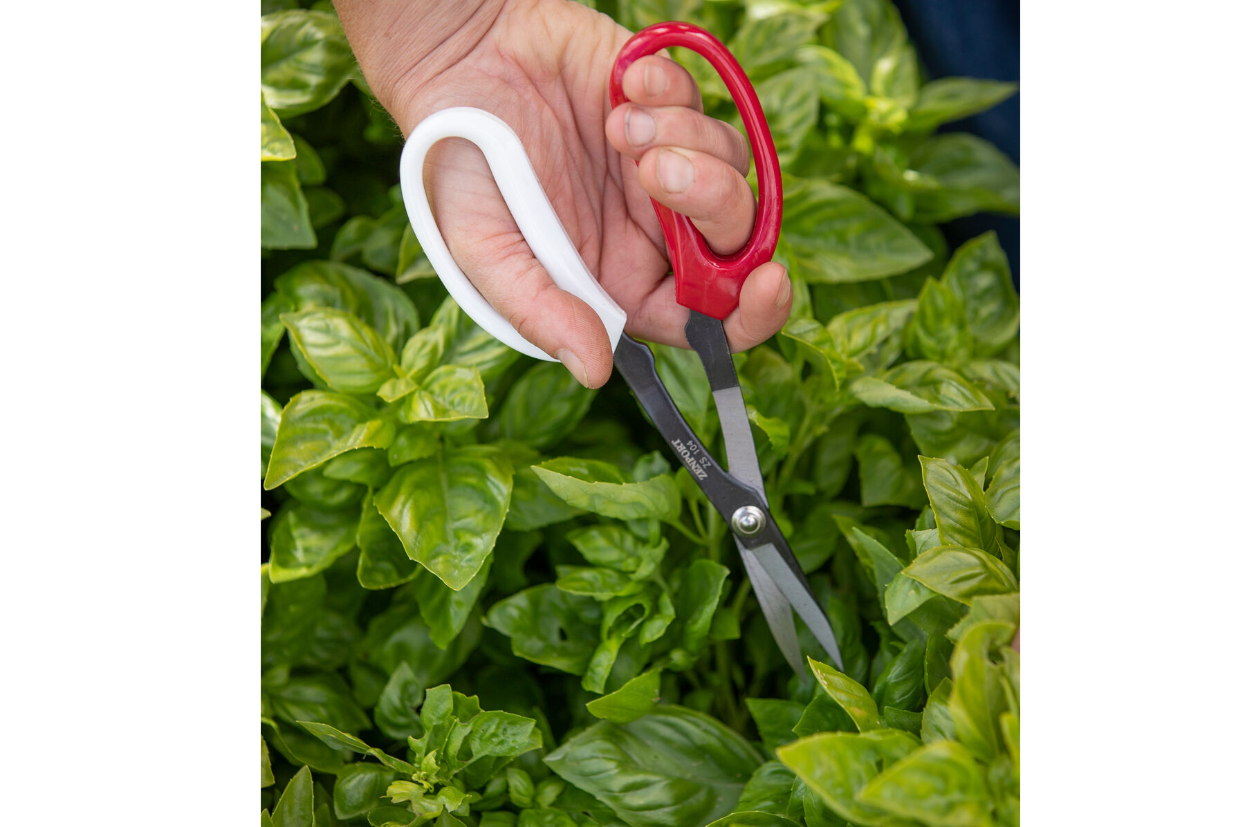Yard scissors sales