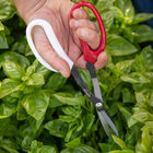 Garden Scissors Garden Scissors Shears & Scissors