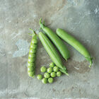 Maxigolt Shelling Peas