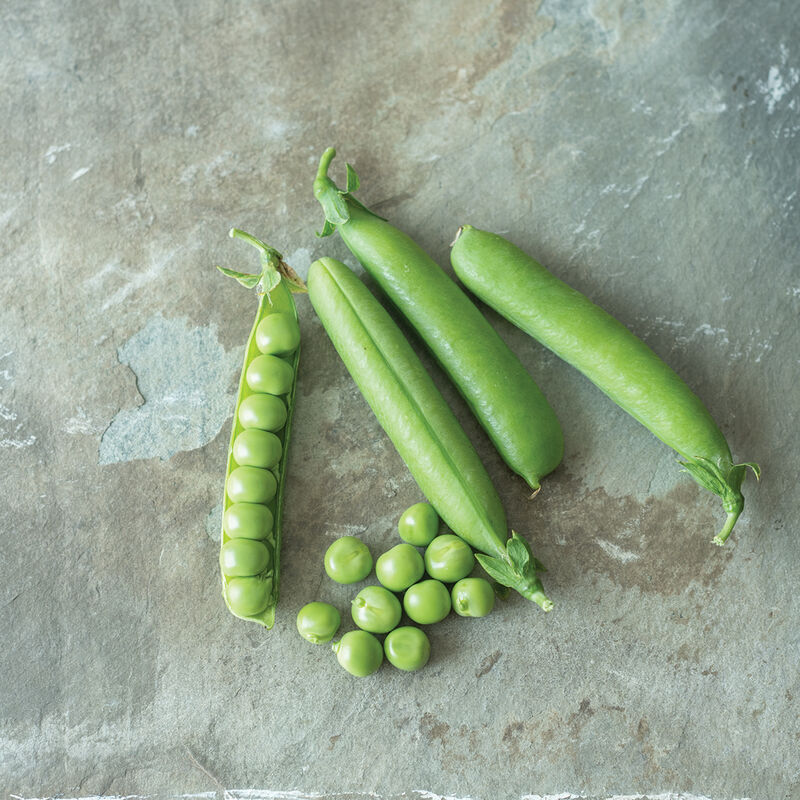 Maxigolt Shelling Peas