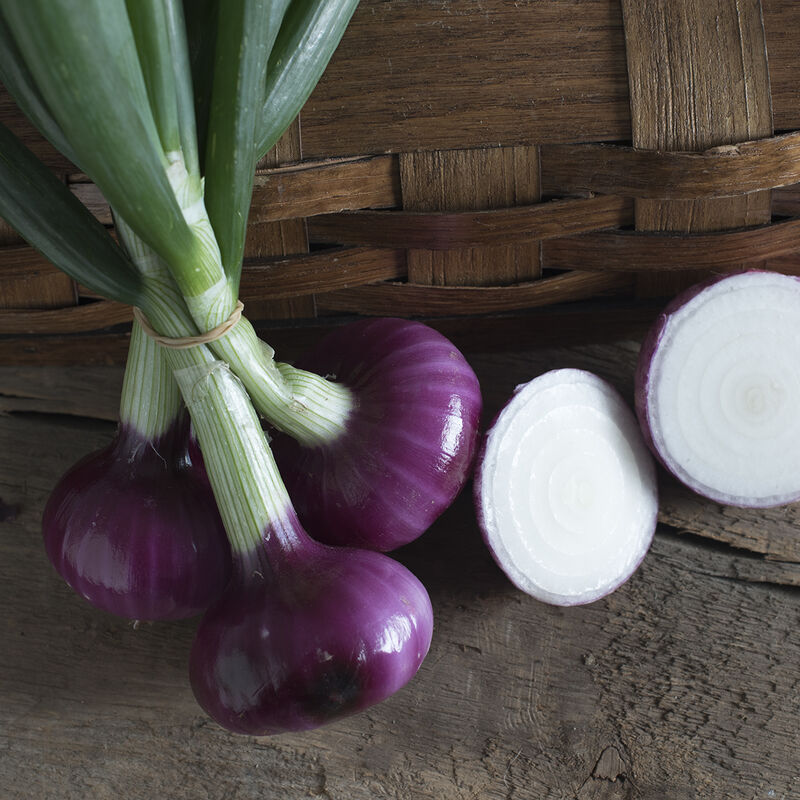 Desert Sunrise Full-Size Onions