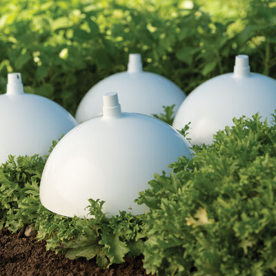 Blanching Cap Blanching Cap Row Covers and Accessories