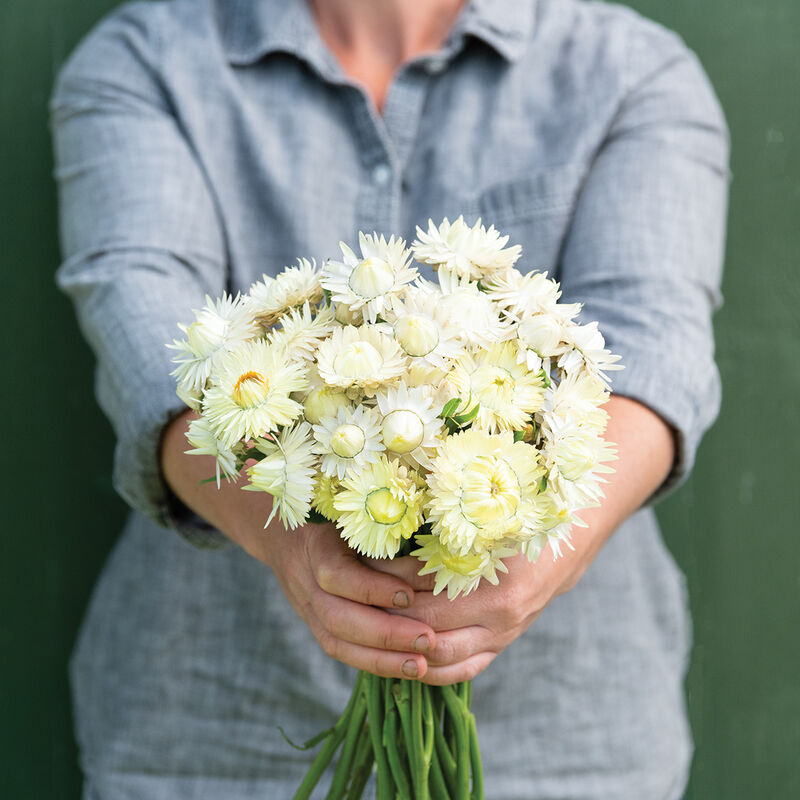 Straw Cover White Flower