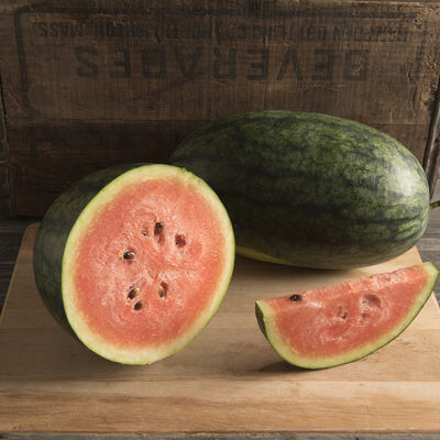 Dark Belle Diploid Watermelons