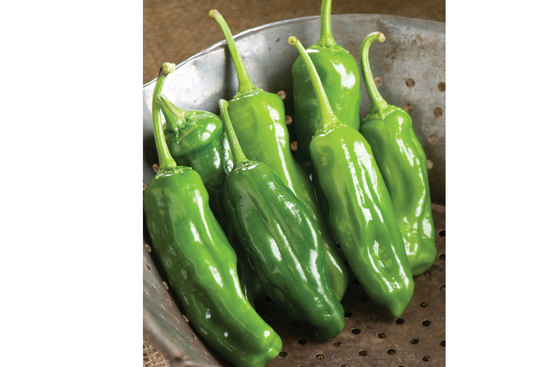 Mellow Star Japanese Shishito Pepper Sweet Peppers