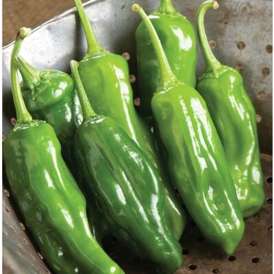 Mellow Star Mellow Star Sweet Peppers