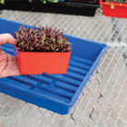 Polypro 5x5 Insert Pots – Red, 8 Count Plastic Pots