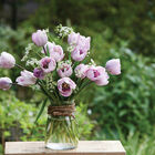Jacuzzi® Tulips