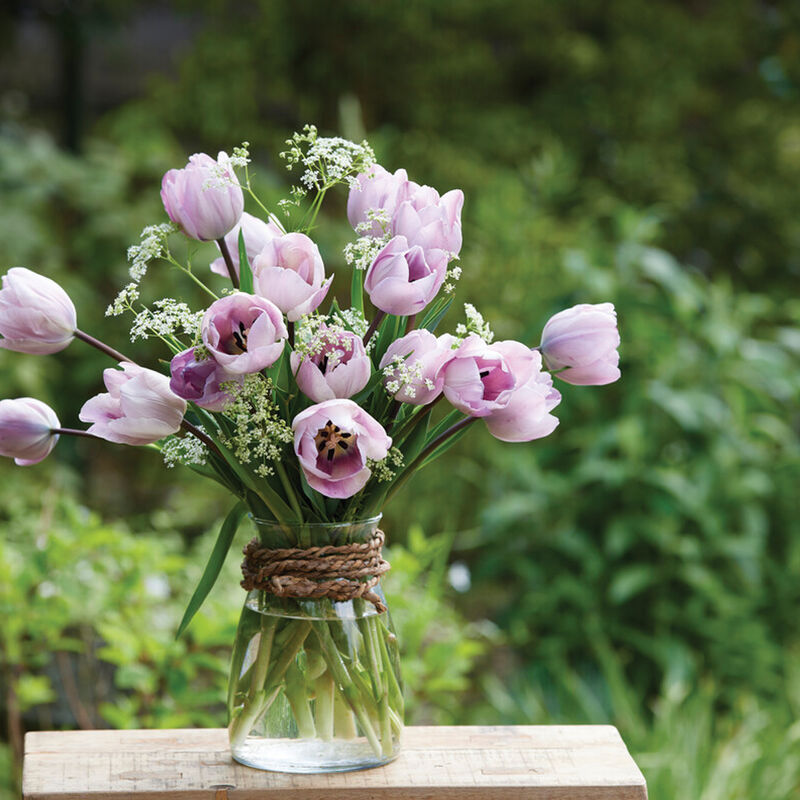 Jacuzzi® Tulips