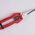 ARS SE45 Floral Shears Shears & Scissors