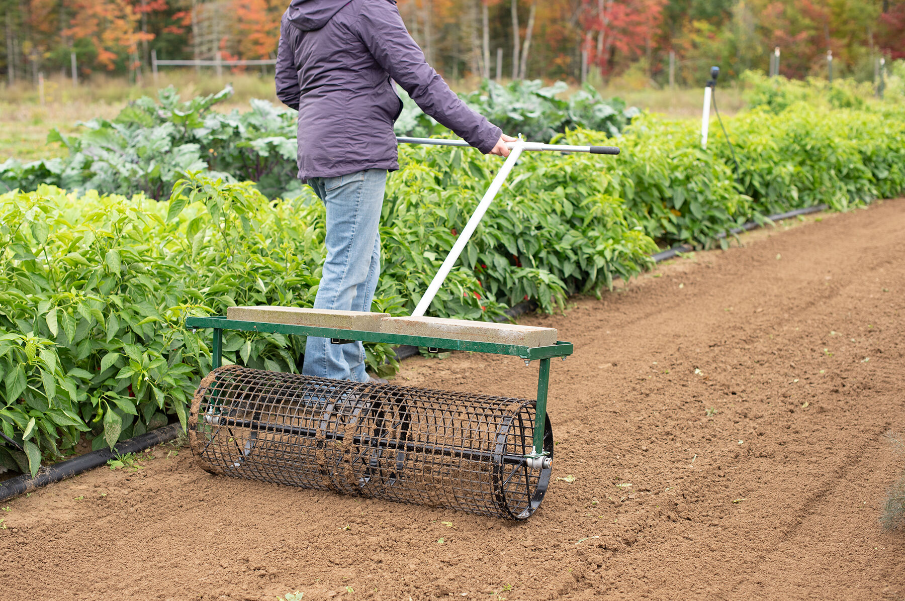 Johnny's Seedbed Roller – 36