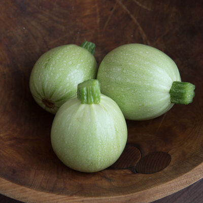 Cue Ball Summer Squash