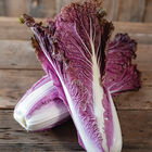 Red Trumpet Chinese Cabbage