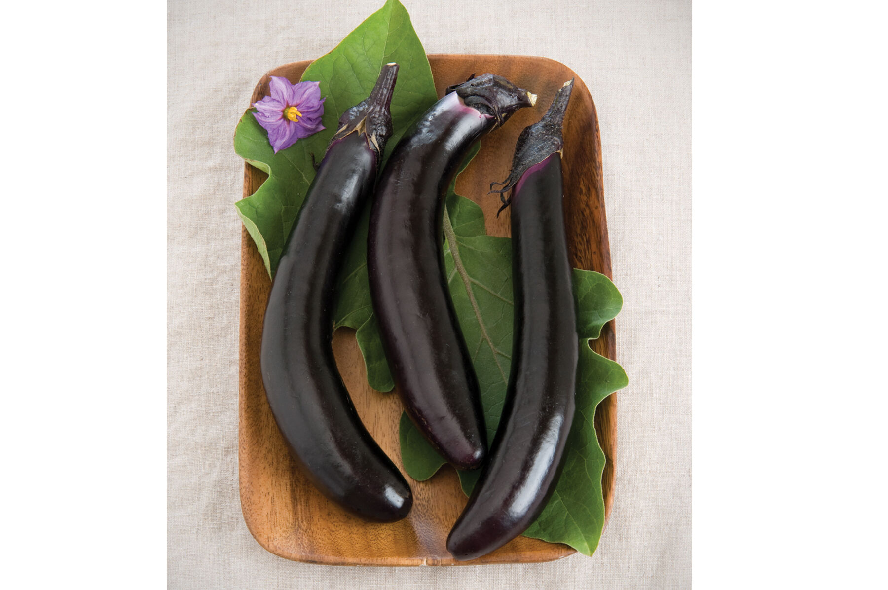 Orient Express Asian Eggplants