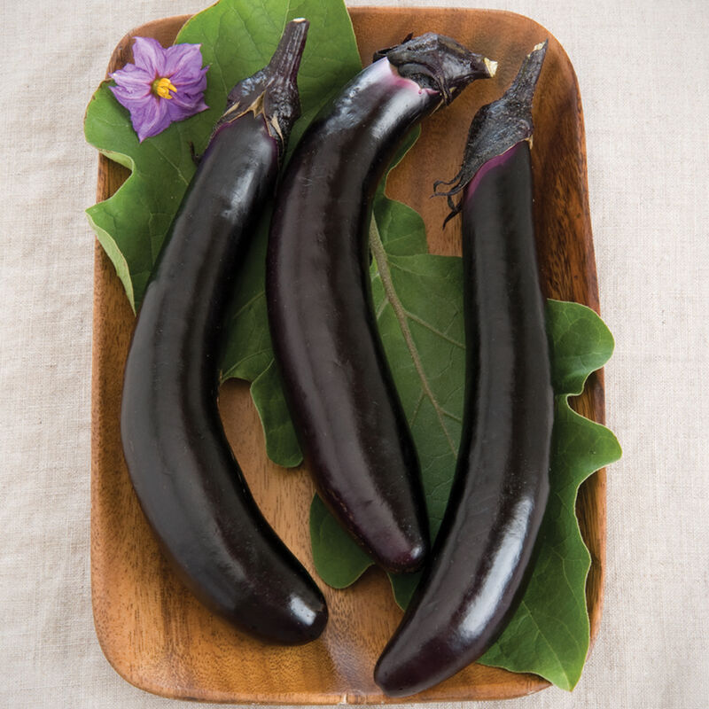 Orient Express Asian Eggplants