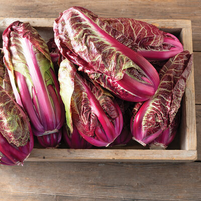 Luna Rossa Radicchio