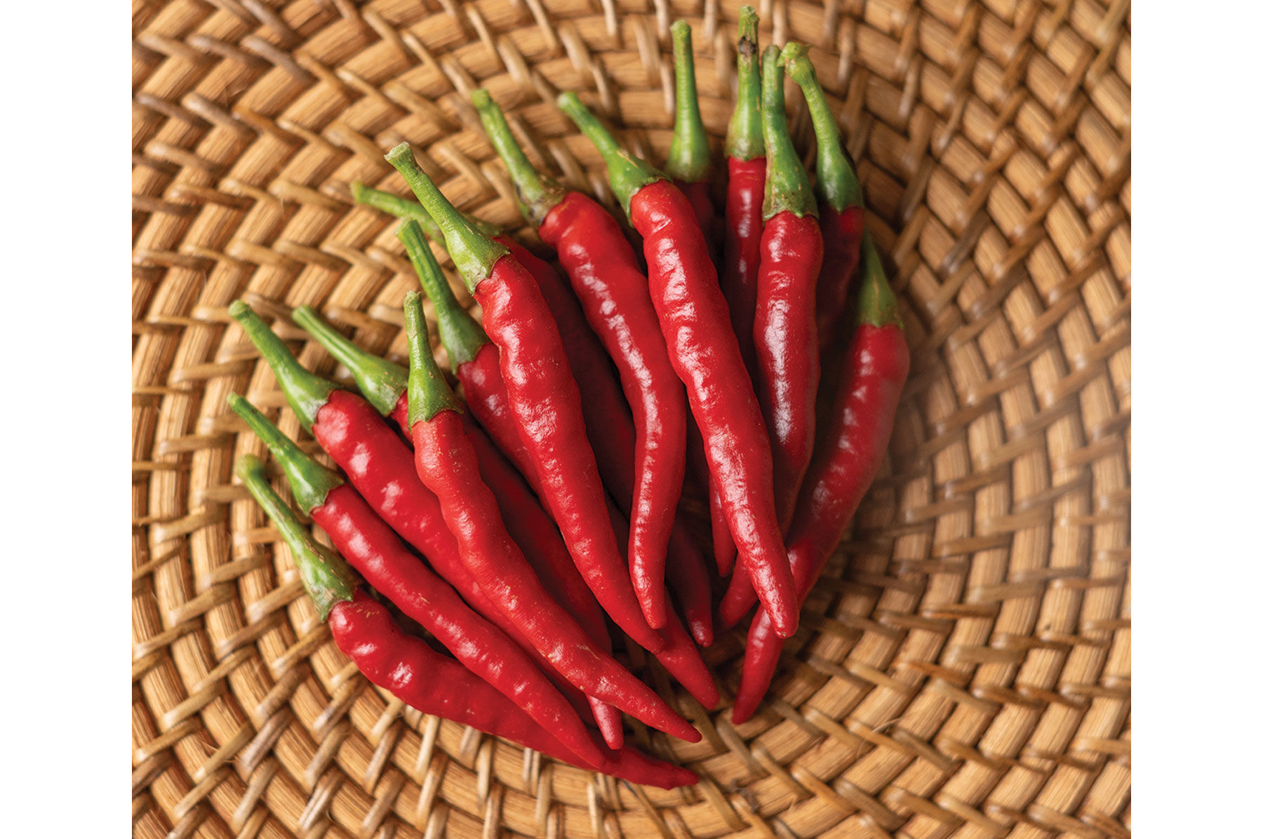 Pepper Seeds - Organic & Heirloom Varieties | Johnny's Selected Seeds