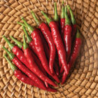 Bottle Rocket Hot Peppers