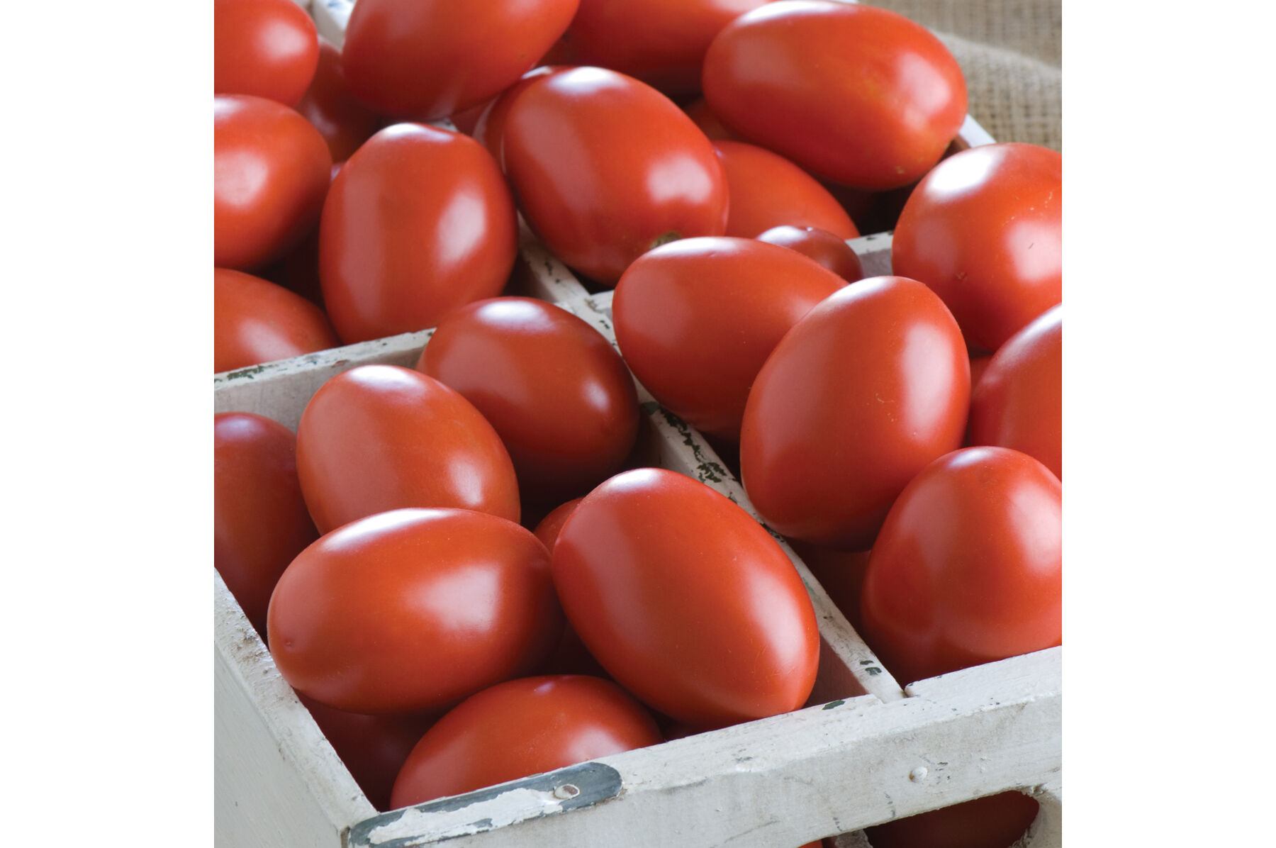 Granadero Paste Tomatoes