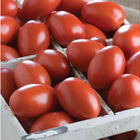 Granadero Paste Tomatoes