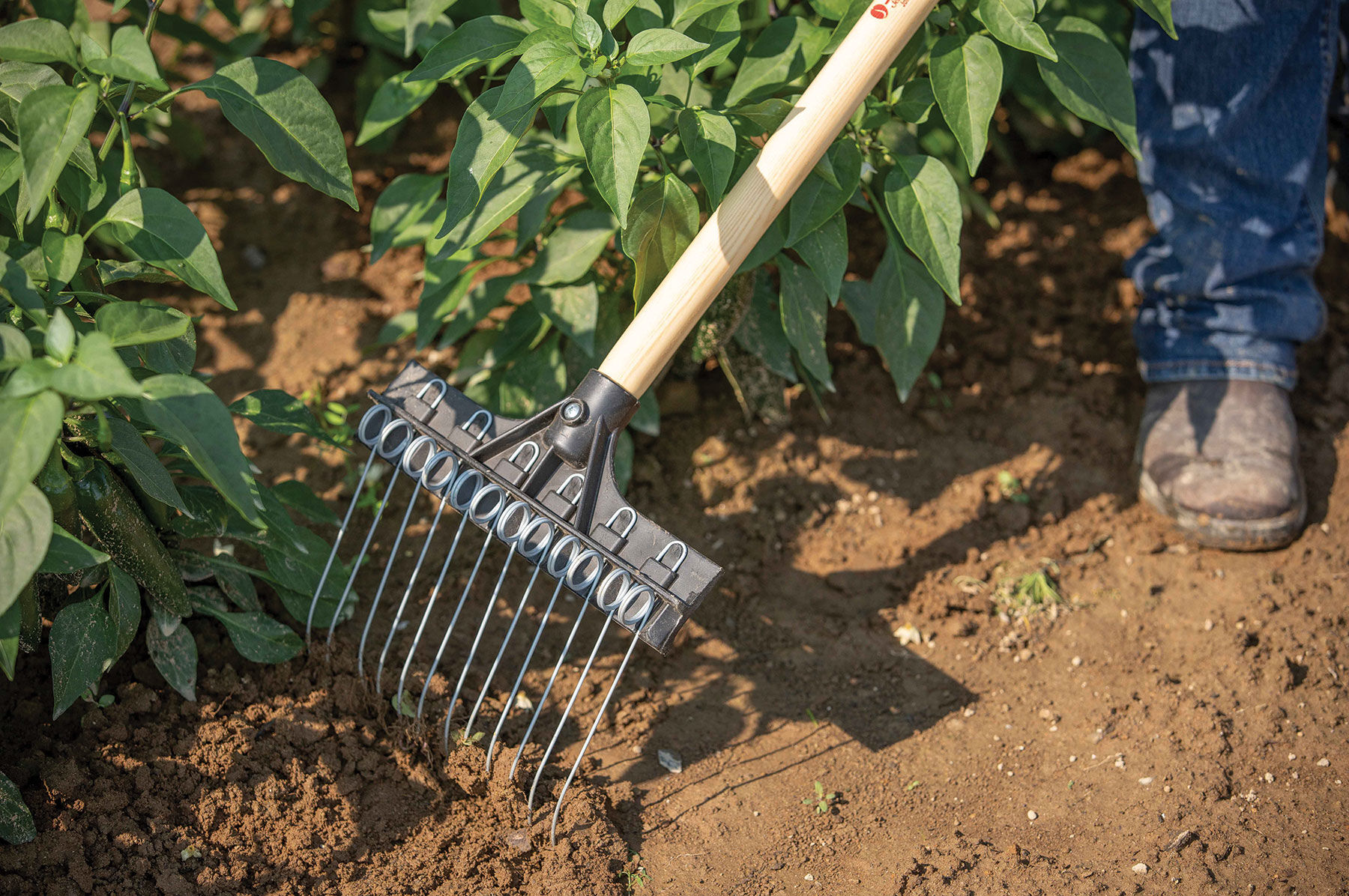 Tine shop weeding rake