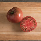 Carbon Carbon Heirloom Tomatoes