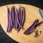 Celine Bush Beans