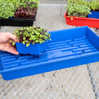Polypro 5x5 Insert Pots – Blue, 8 Count Plastic Pots