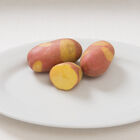 Pinto Gold Potatoes