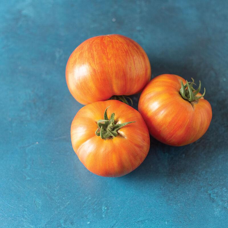 Hot Streak Beefsteak Tomatoes