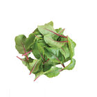 Charbell Swiss Chard