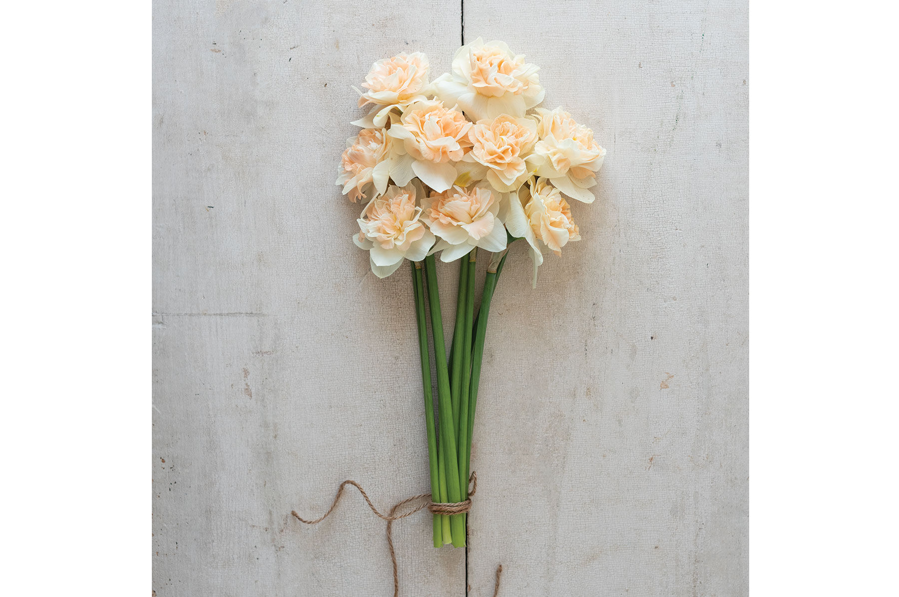 Flower surprise deals