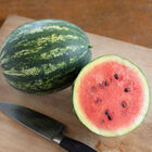 Mini Love Diploid Watermelons