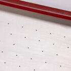 Seed Plate E264 Vacuum