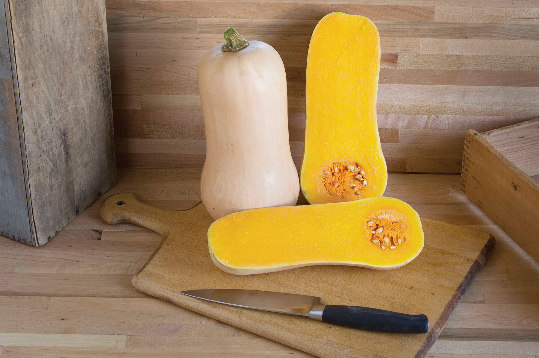 Waldo PMR Winter Squash