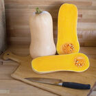 Waldo PMR Waldo PMR Winter Squash