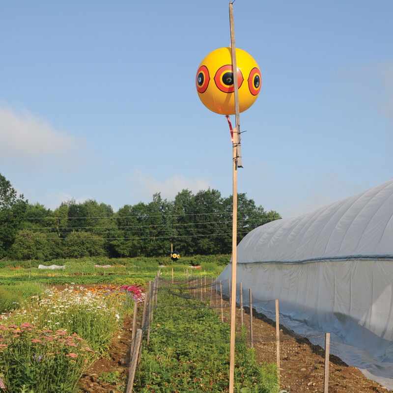 Terror-Eyes Balloons Repellents