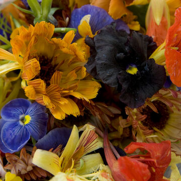 null Edible Flowers