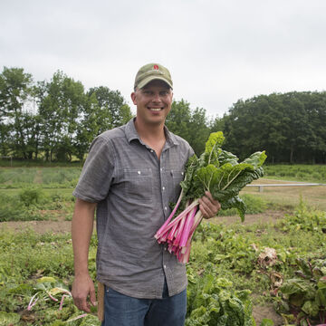 null Summer Planting for Fall Harvest